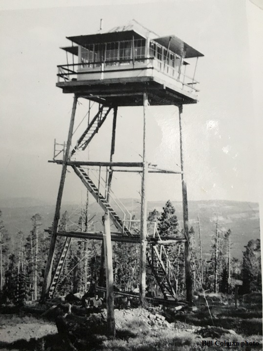 Andesite in 1959