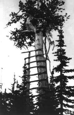 Moses Mtn. in 1914