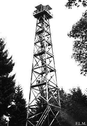 Rainier Tower in 1965