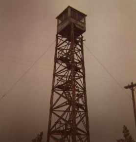 Signal Peak in 1960