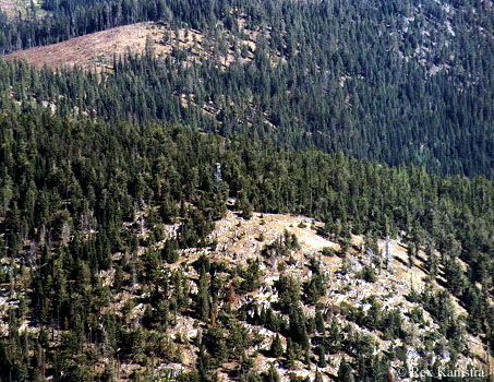 Strawberry Mtn. in 2000